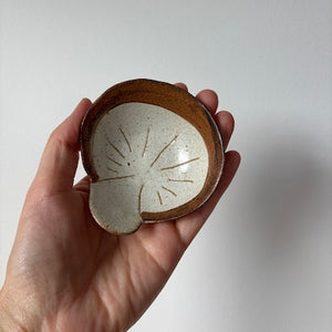 Mamezara  Shitake